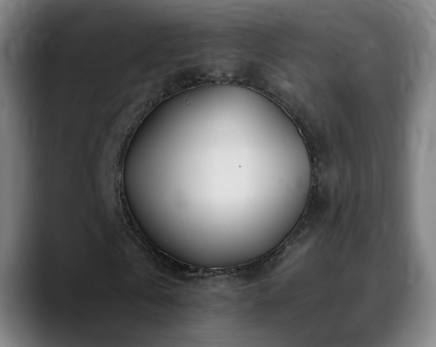 X0000090610769200707171416