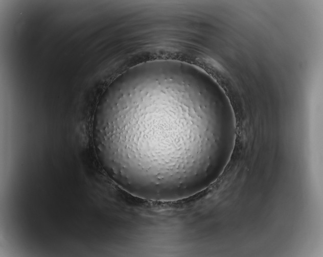X0000090610774200707171416