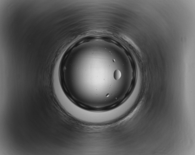 X0000090610777200707171416