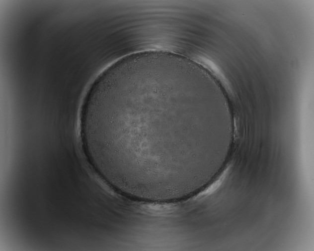 X0000090610780200707171416