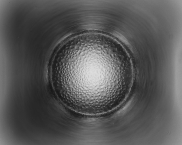 X0000090610782200707171416