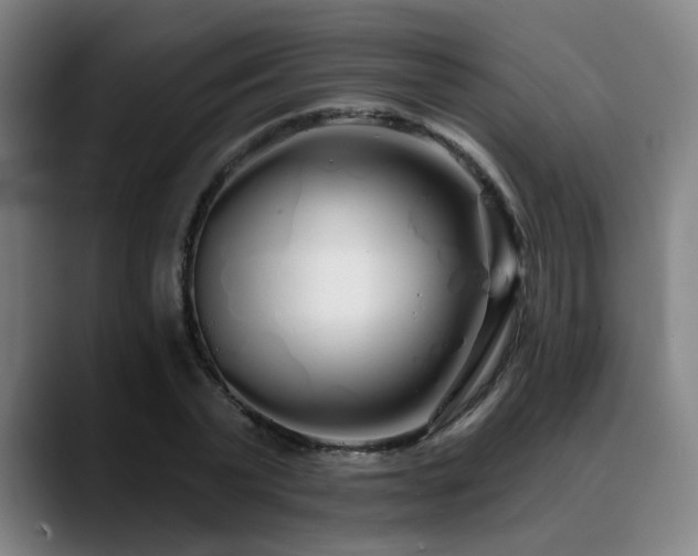 X0000090610783200707171416