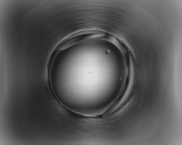 X0000090610789200707171416