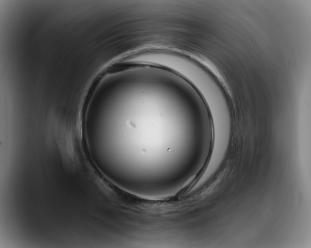 X0000090610791200707171416