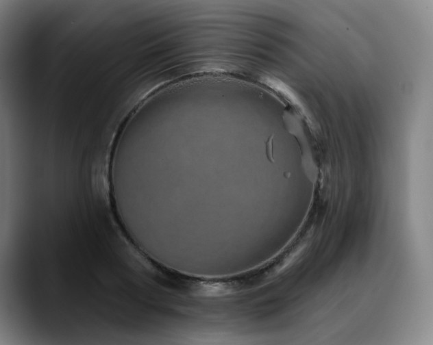 X0000090610794200707171416