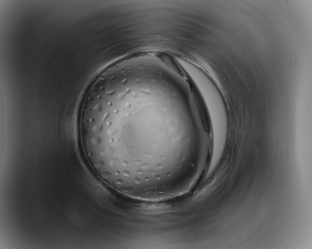 X0000090610795200707171416