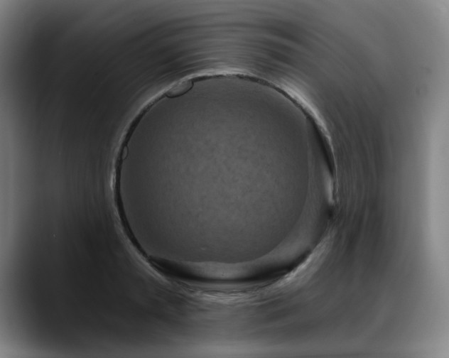 X0000090610797200707171416