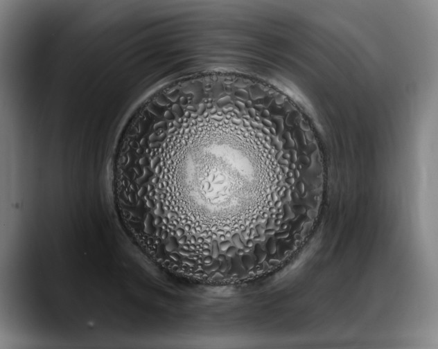 X0000090610798200707171416