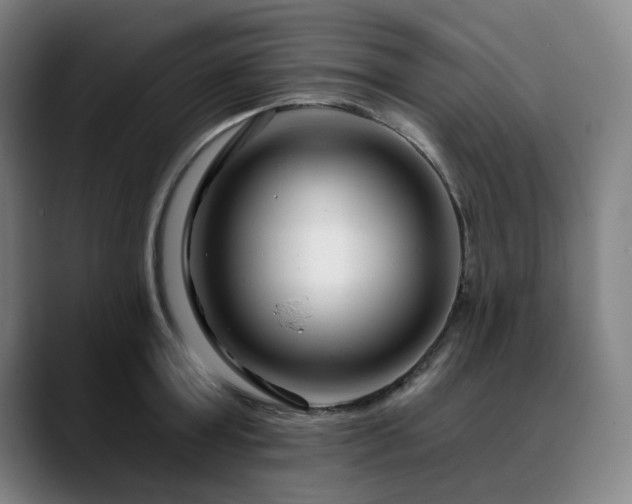 X0000090610803200707171416