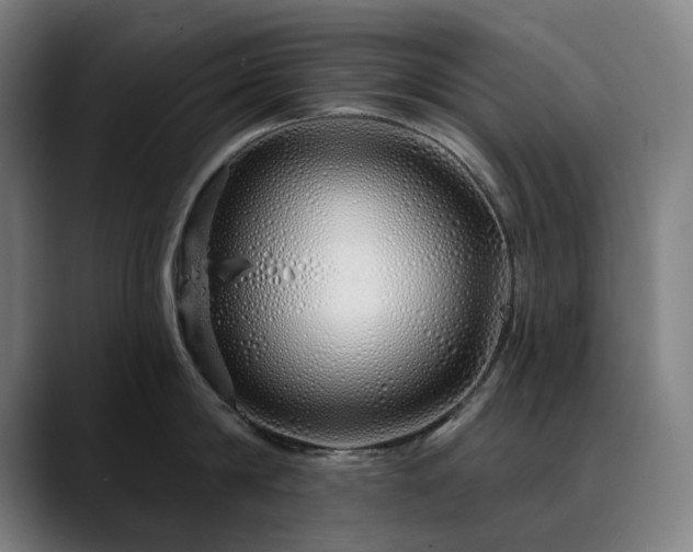 X0000090610814200707171416