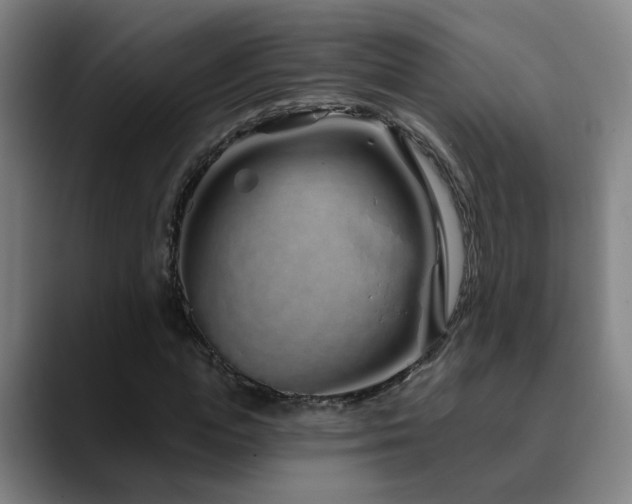 X0000090610823200707171415