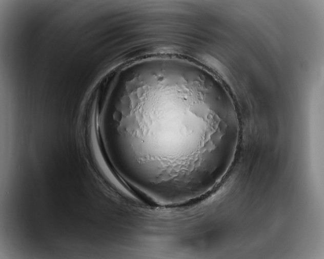 X0000090610827200707171415