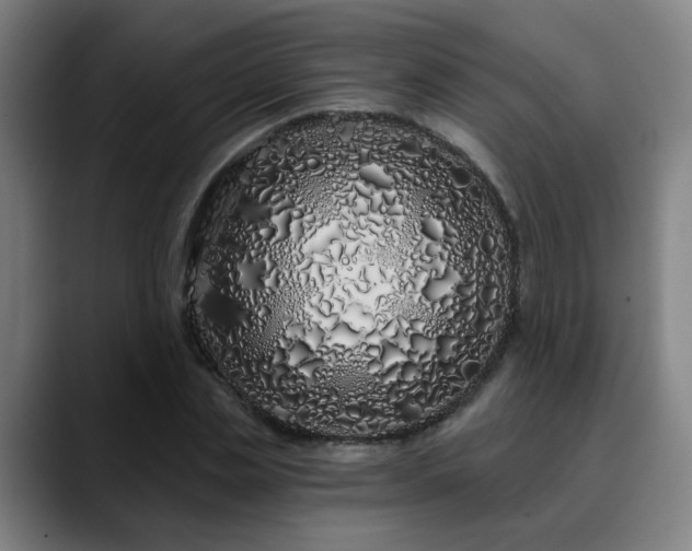 X0000090610829200707171415