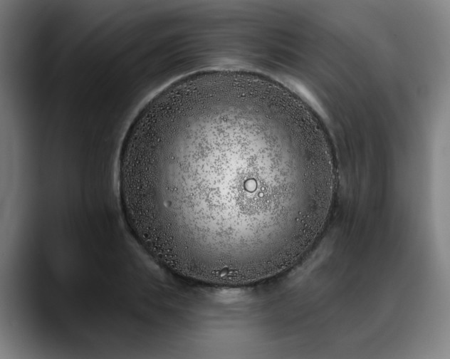 X0000090610839200707171415