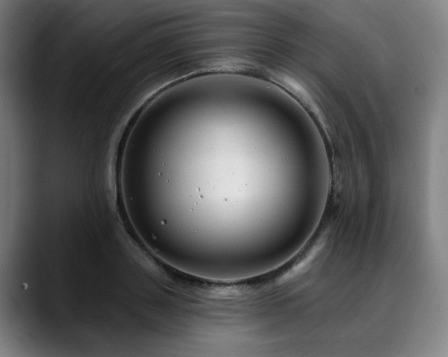 X0000090610843200707171415