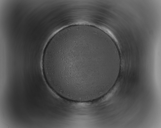 X0000090610847200707171415