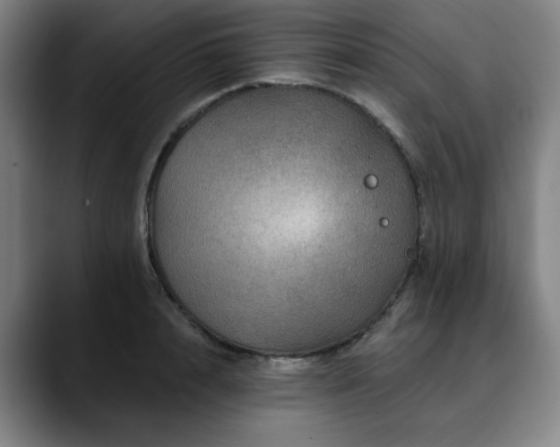 X0000090610848200707171415