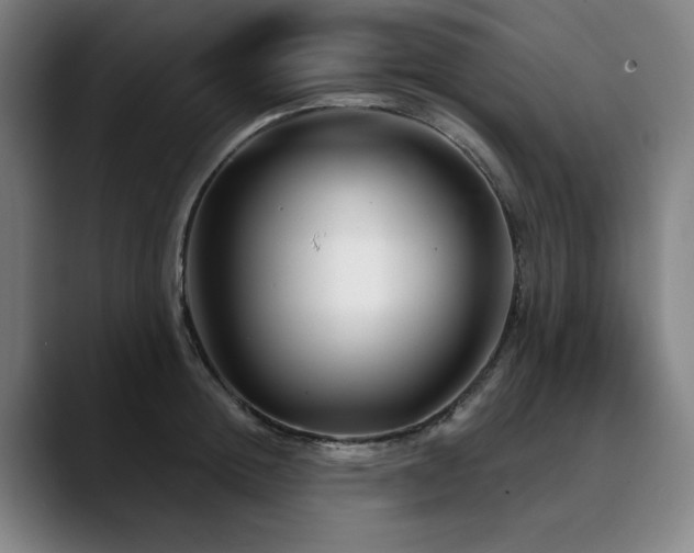 X0000090610852200707171415