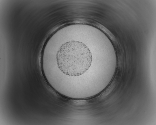 X0000090610856200707171415
