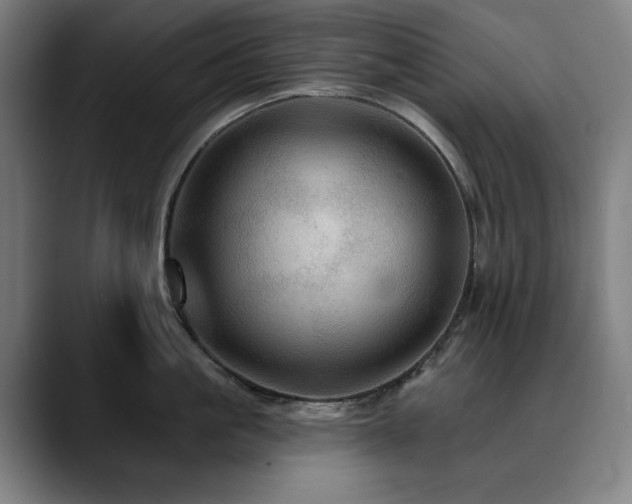 X0000090610861200707171415
