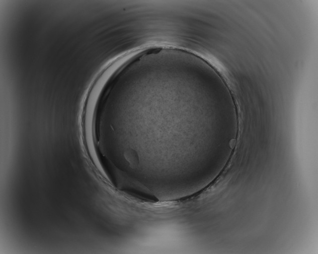 X0000090610864200707171415