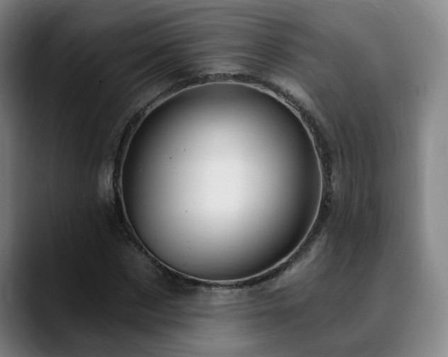 X0000090610873200707171415