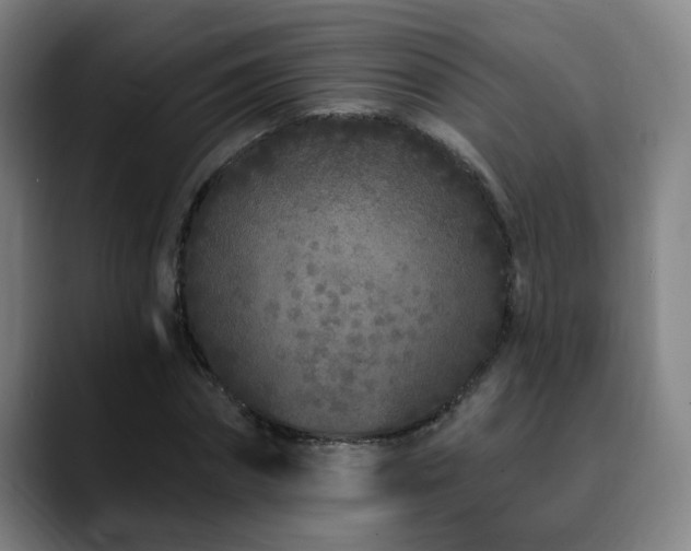 X0000090610874200707171415