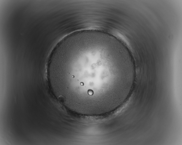 X0000090610875200707171415