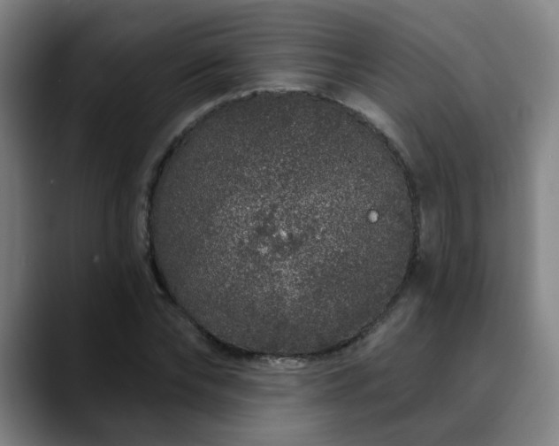X0000090610878200707171415