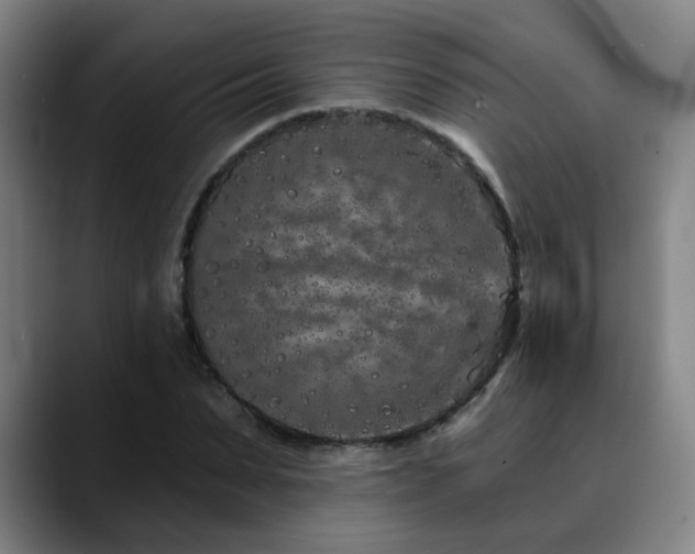 X0000090610879200707171415