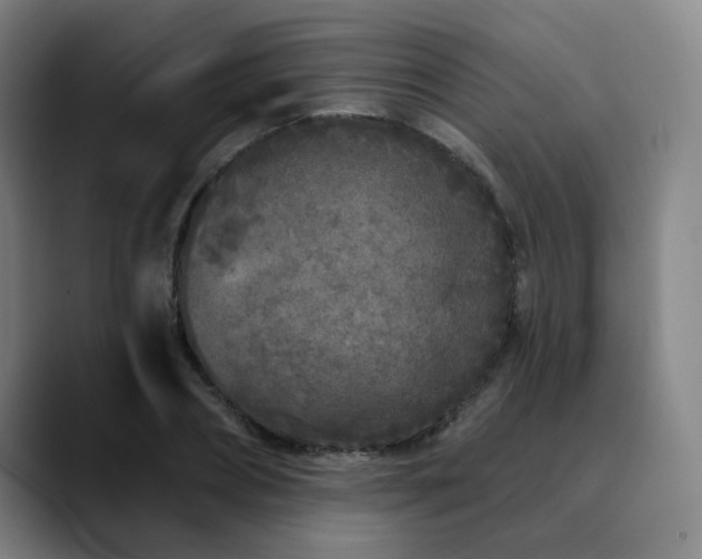 X0000090610882200707171415