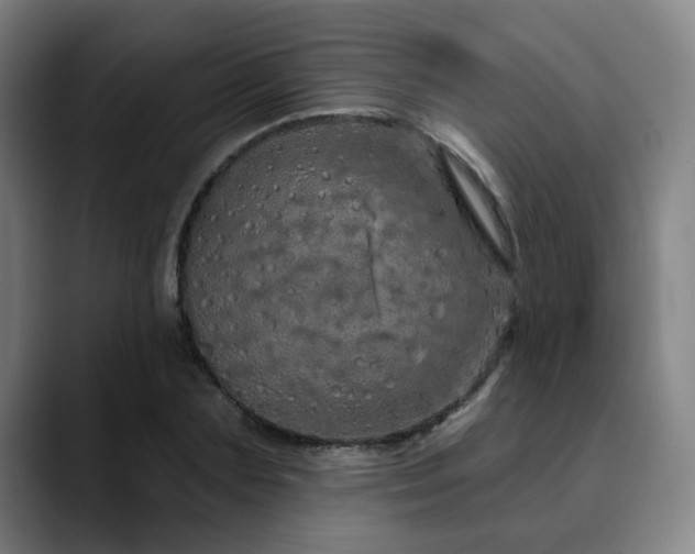 X0000090610883200707171415