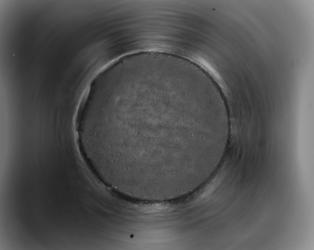 X0000090610891200707171415