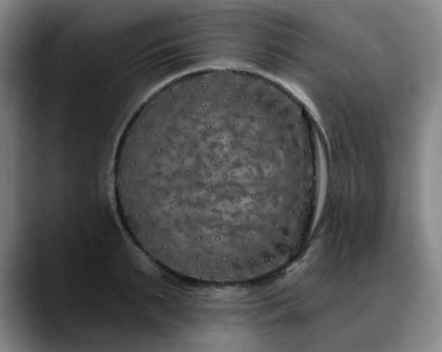 X0000090610895200707171415