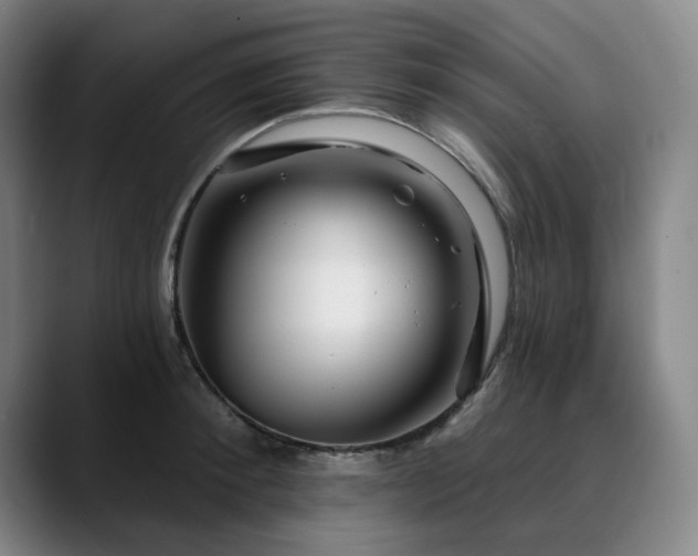 X0000090610900200707171414