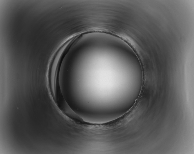X0000090610902200707171414
