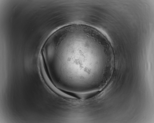 X0000090610903200707171414
