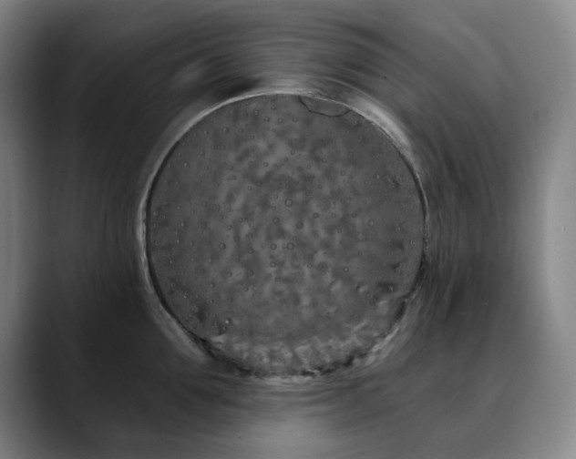 X0000090610907200707171414