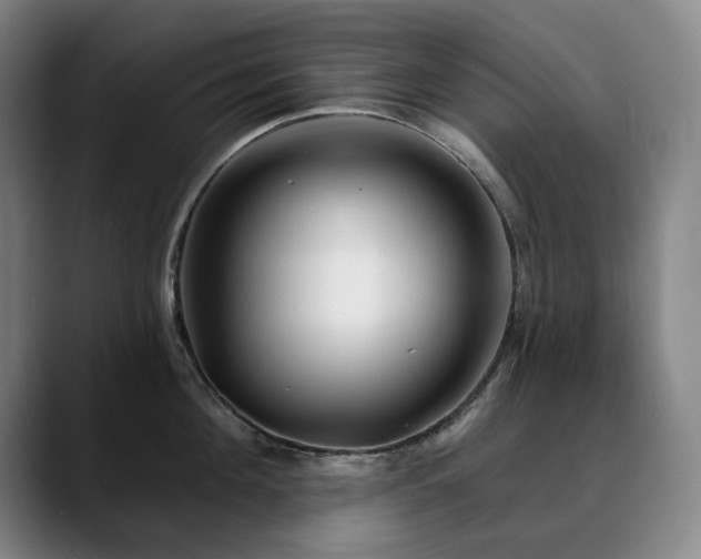 X0000090610908200707171414