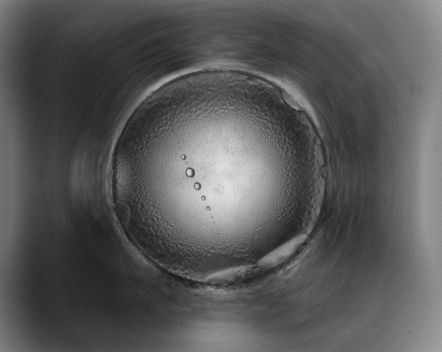 X0000090610911200707171414