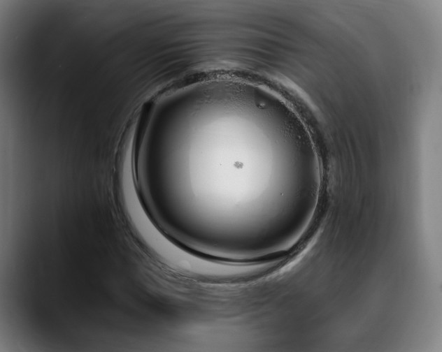 X0000090610921200707171414