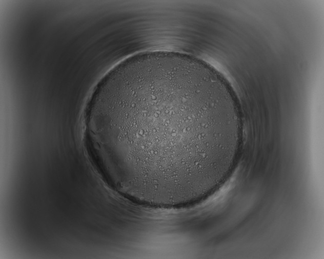 X0000090610925200707171414
