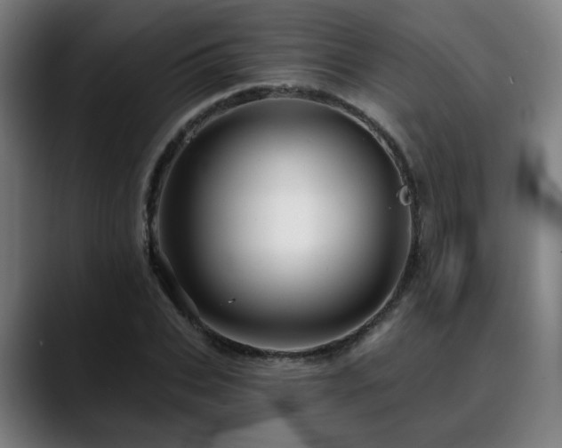 X0000090610927200707171414