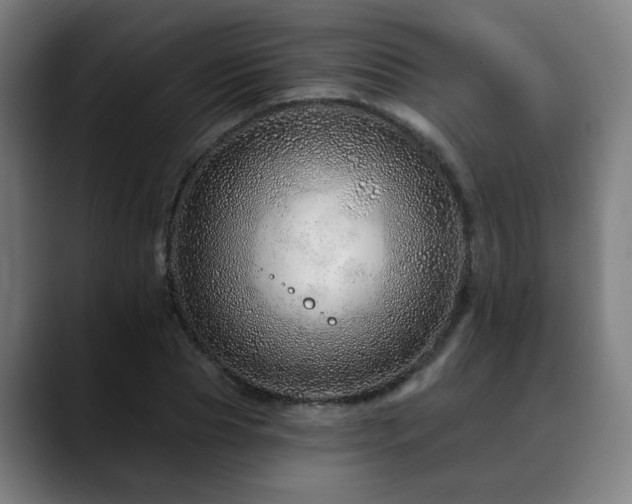 X0000090610929200707171414