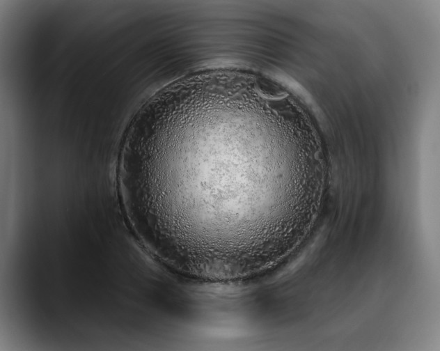 X0000090610937200707171414