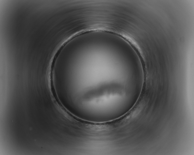 X0000090610941200707171414