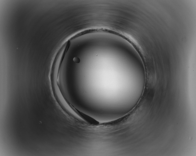 X0000090610943200707171414