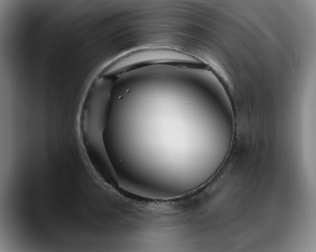 X0000090610944200707171414