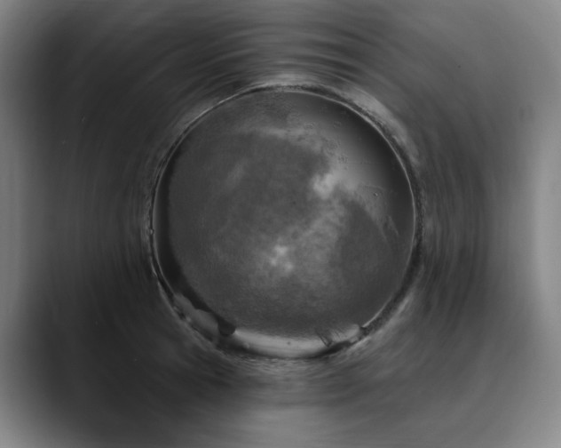 X0000090610945200707171414