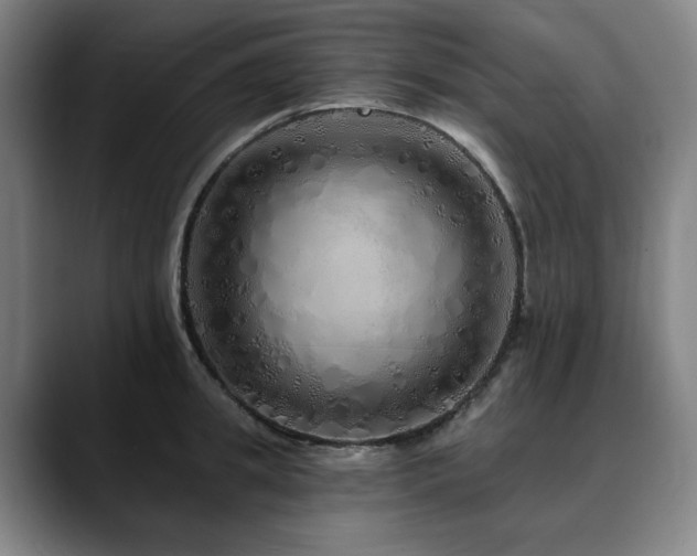 X0000090610949200707171414